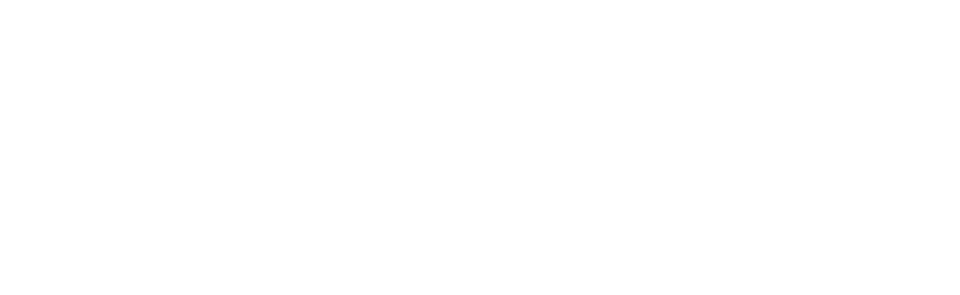 Truefx Infotech Home Page Logo